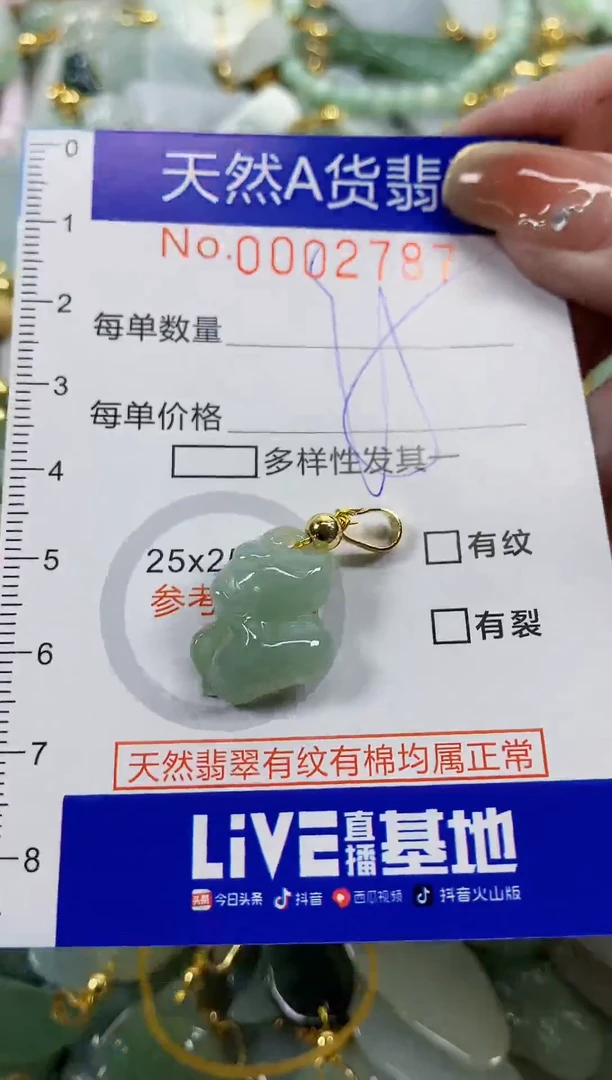 颈饰未镶嵌翡翠天然A货翡翠