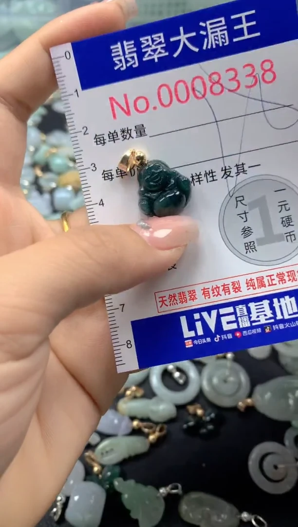 颈饰未镶嵌翡翠8338