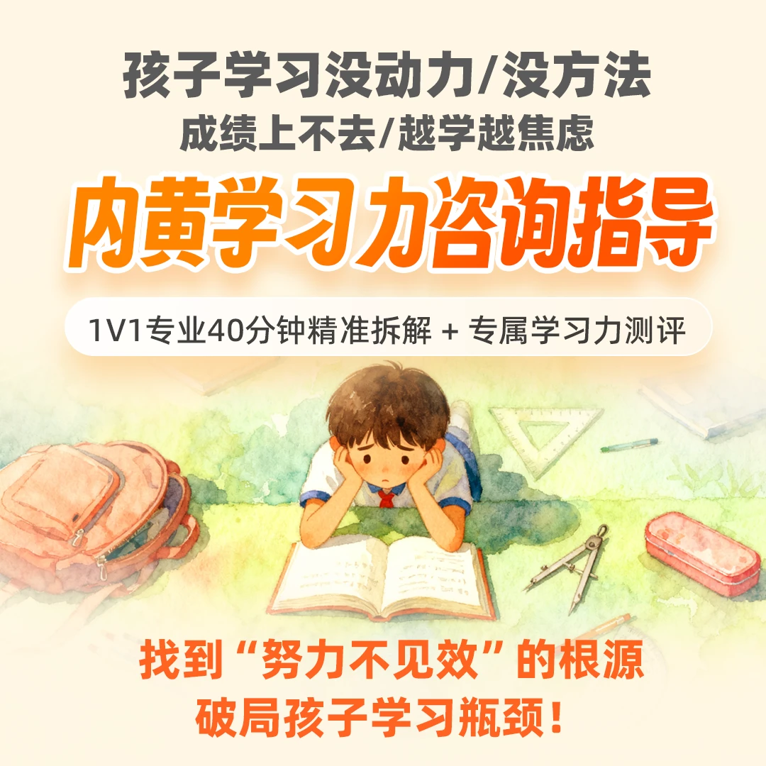 内黄学习力咨询指导40分钟【下单注意备注联系方式】