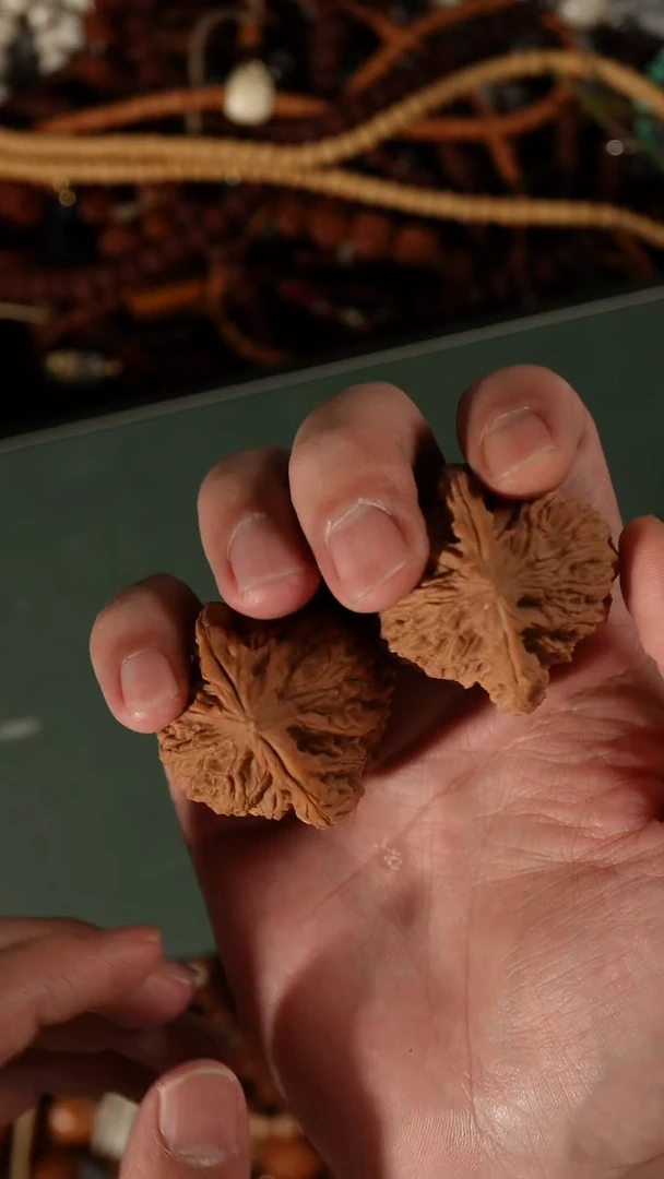 吊坠菩提根/象牙果我****v龙脊光珠手持6+