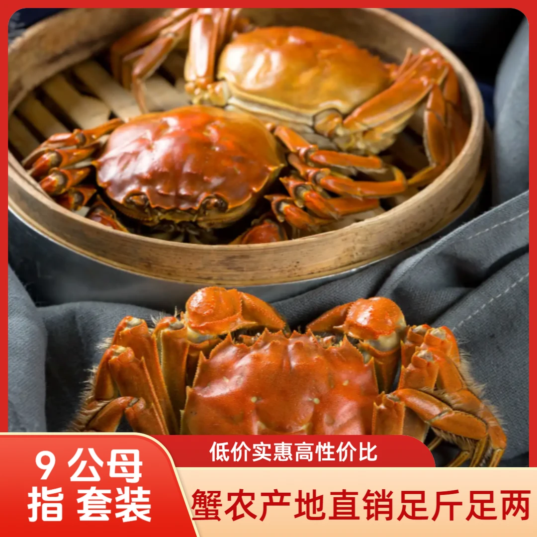 【活蟹】公母组合大闸蟹公蟹3.8两-4.1两母蟹2.8-3.1两6对12只装