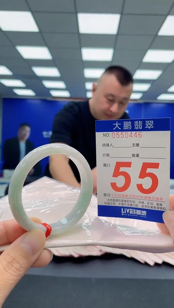 未镶嵌手镯翡翠AAAAAAAAA