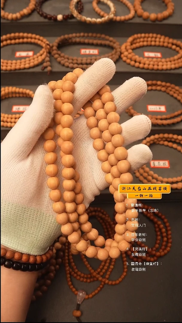 吊坠五线菩提蓝****涂q脖挂