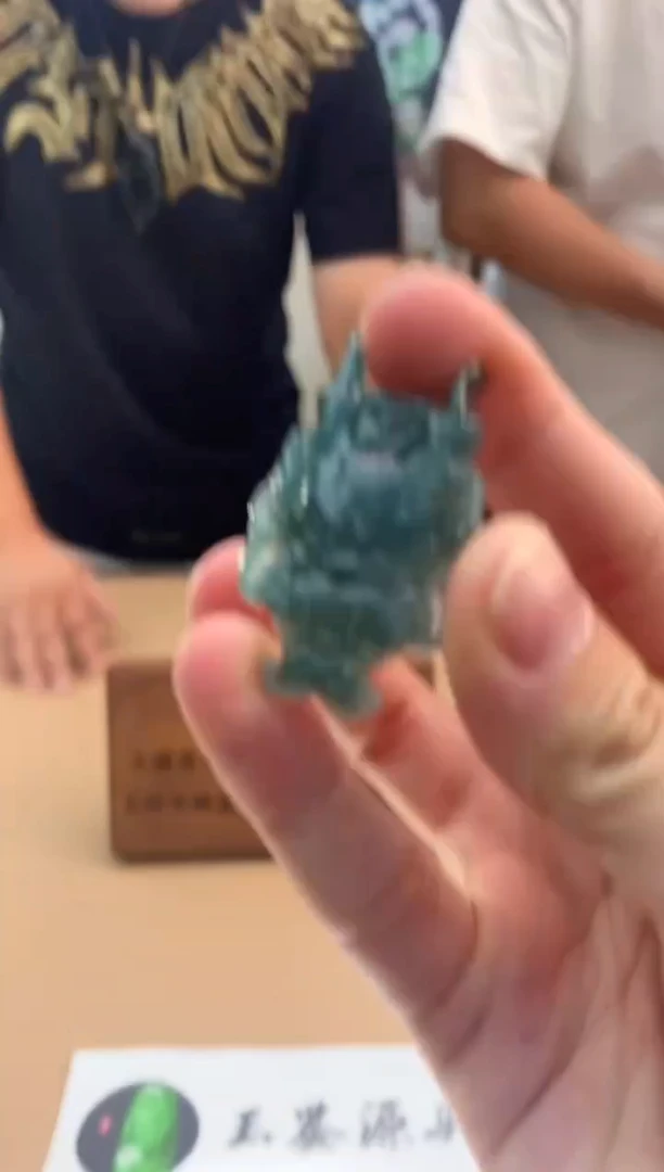 颈饰未镶嵌翡翠翡翠挂件 多样性发一件