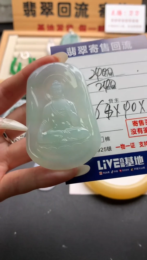 翡翠未镶嵌颈饰10138749