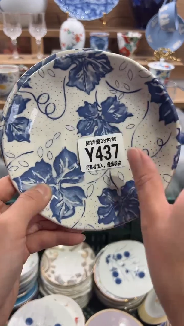 瓷片粒*     Y437
