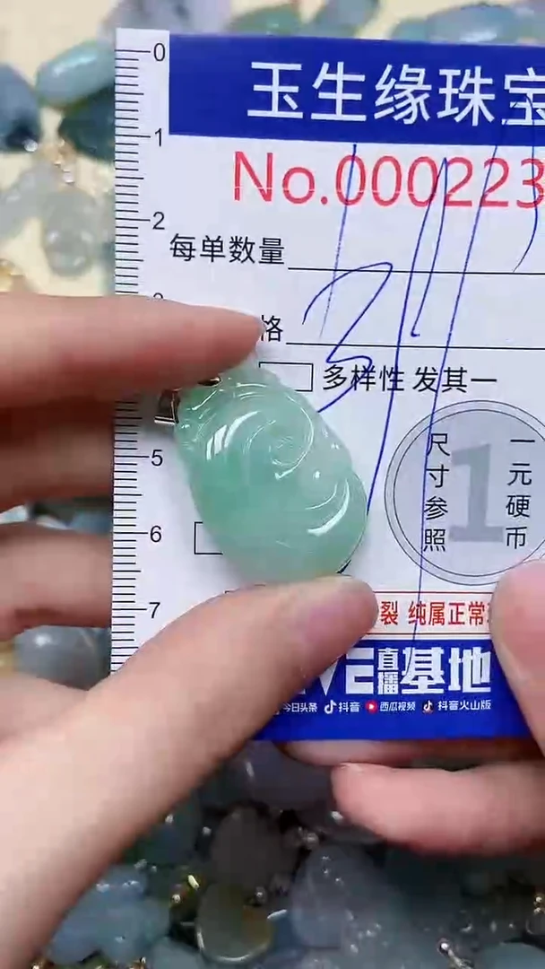 【闪购商品】翡翠颈饰未镶嵌闪购00002236