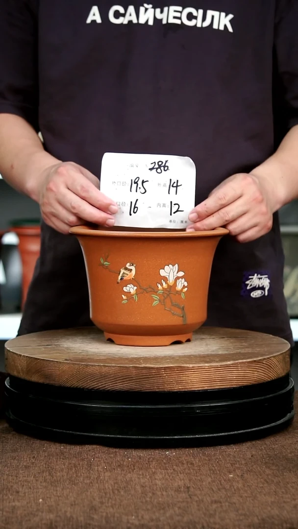 紫砂花盆花卉园艺286+Z