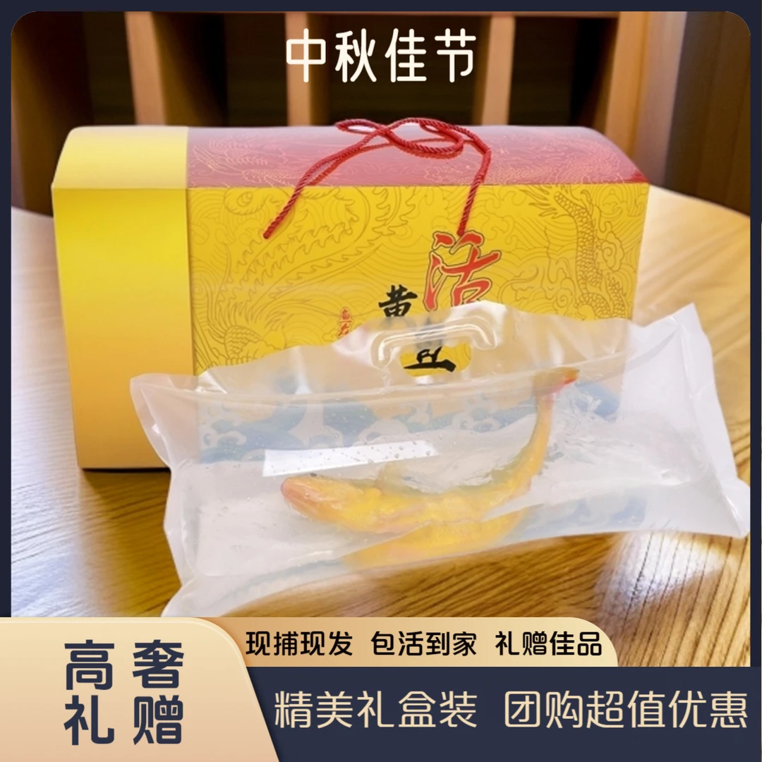 浙江深海活大黄鱼新鲜黄花鱼冰鲜直达宴请佳品高端礼品中秋送礼