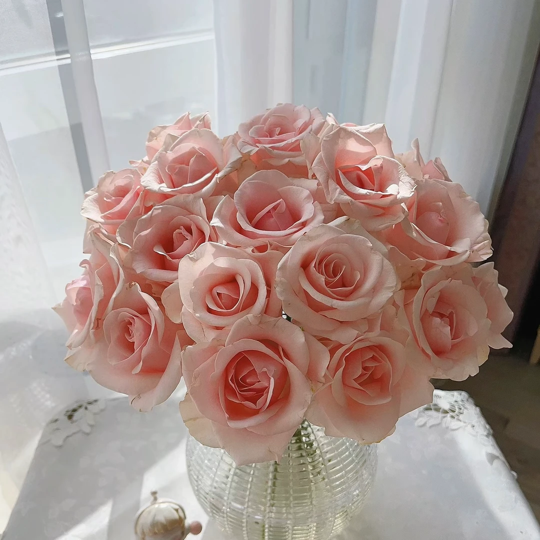 【全季花语】(情人节）粉佳人单头玫瑰10支 色调温馨 好看好养护 花期长 顺丰包邮【拍两单送随机花束5枝】