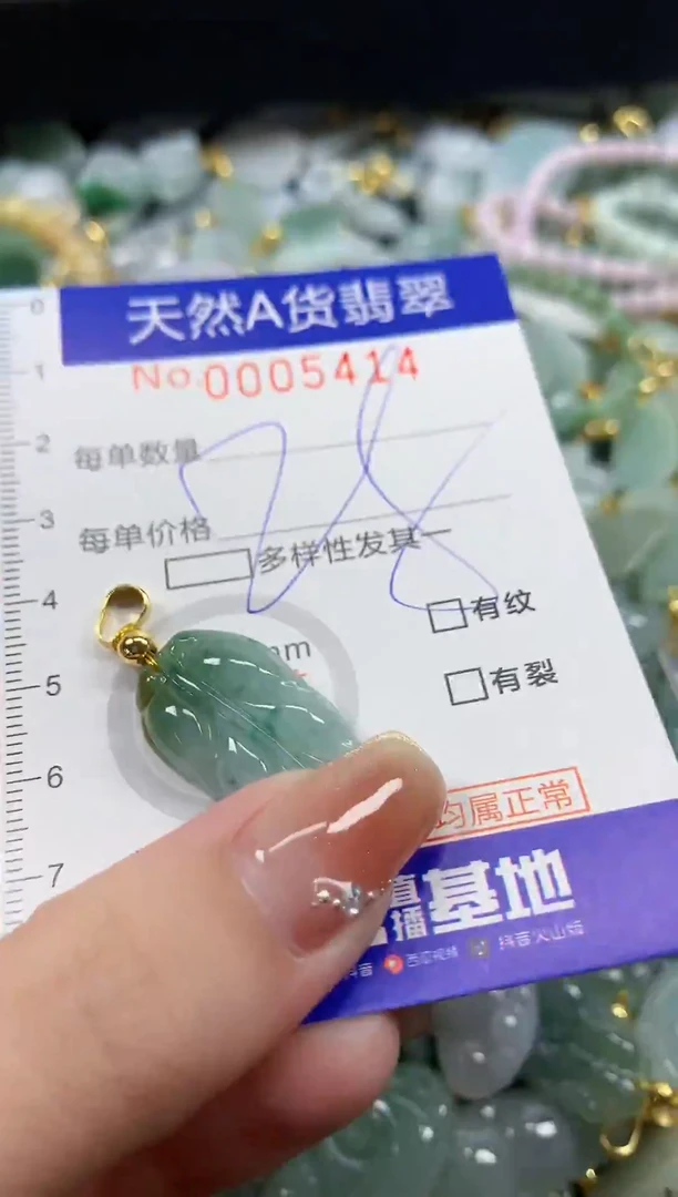 颈饰未镶嵌翡翠天然A货翡翠
