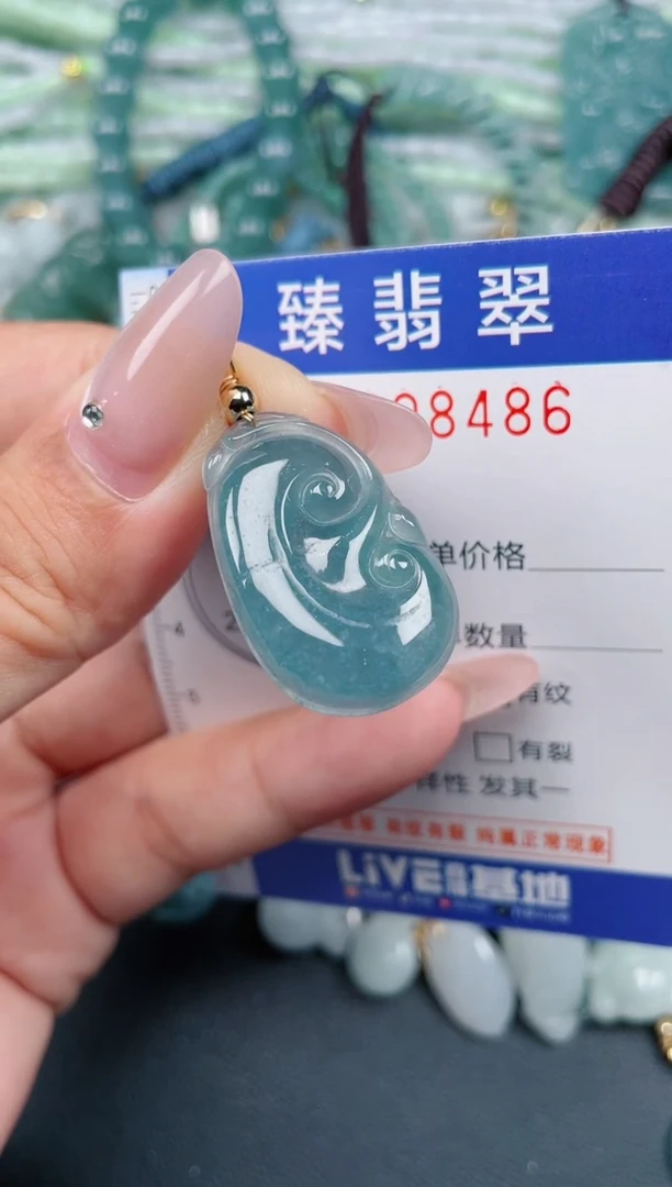 翡翠未镶嵌颈饰.0008486