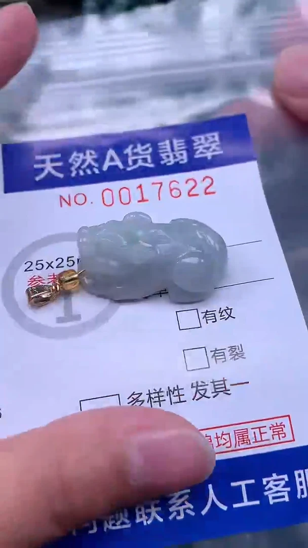 翡翠未镶嵌吊坠(不含链)1