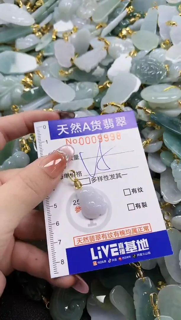 颈饰未镶嵌翡翠天然A货翡翠