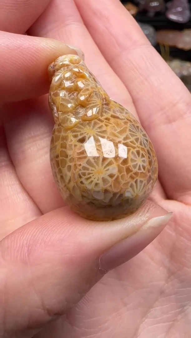 硅化珊瑚（珊瑚玉）未镶嵌颈饰993