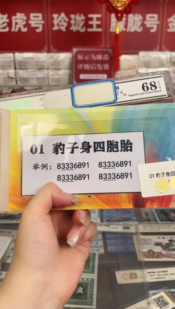 01豹子身四胞胎礼册