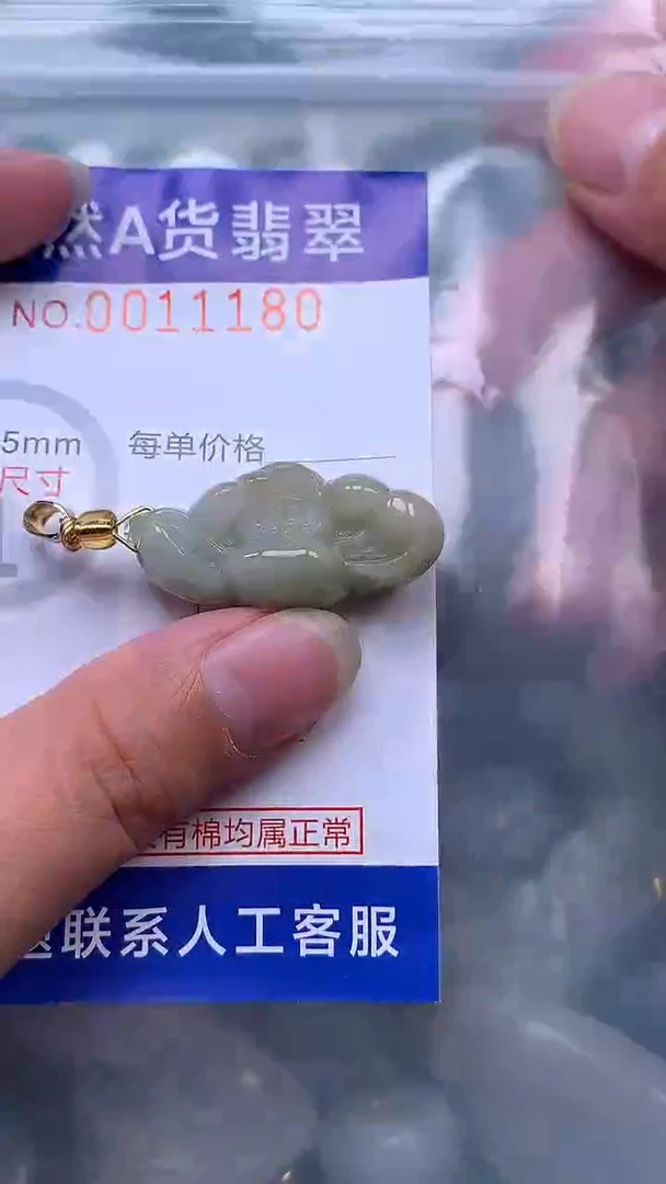 吊坠(赠链)未镶嵌翡翠1