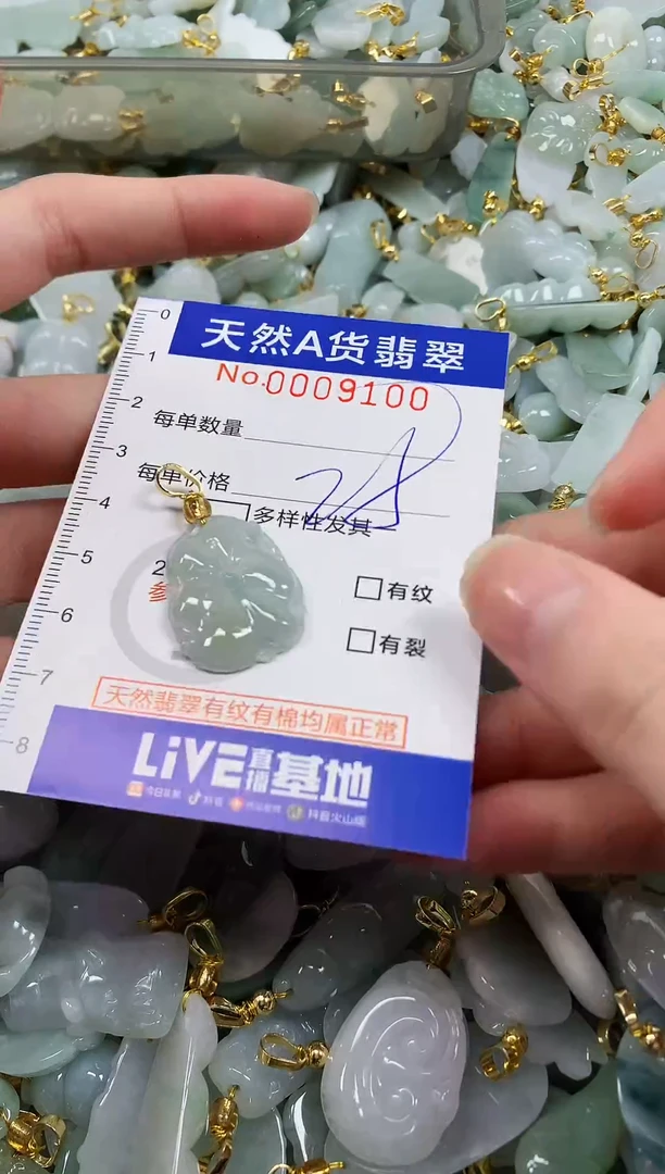 颈饰未镶嵌翡翠纯天然a货翡翠