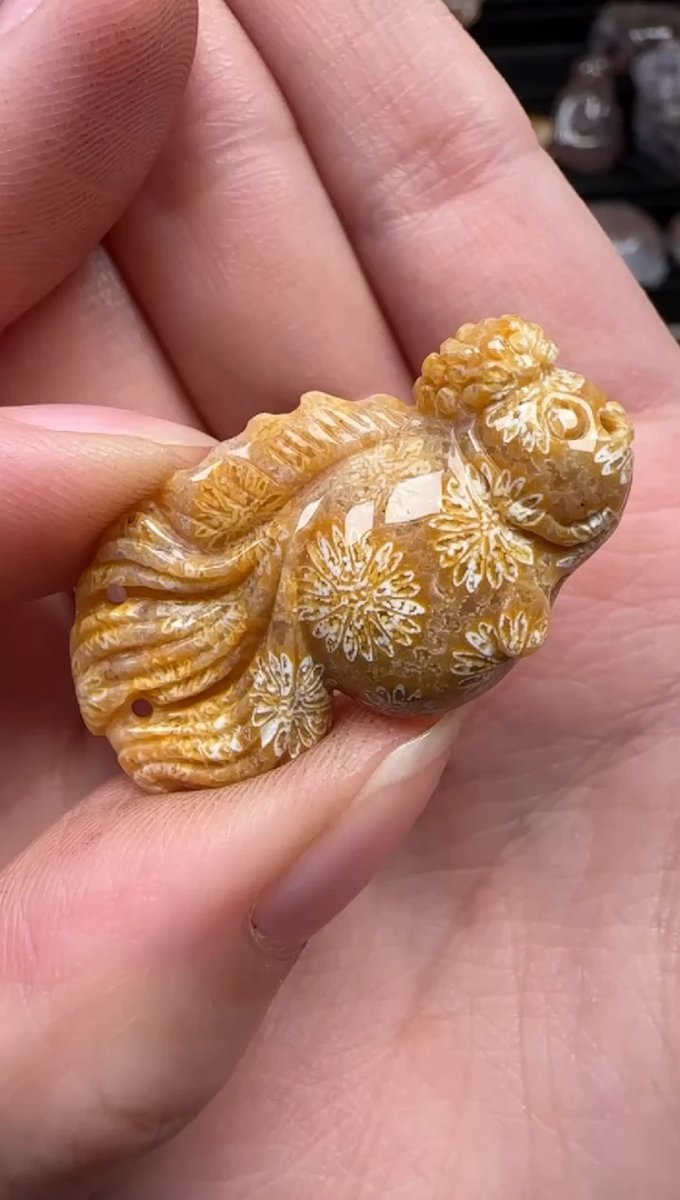 颈饰未镶嵌硅化珊瑚（珊瑚玉）885