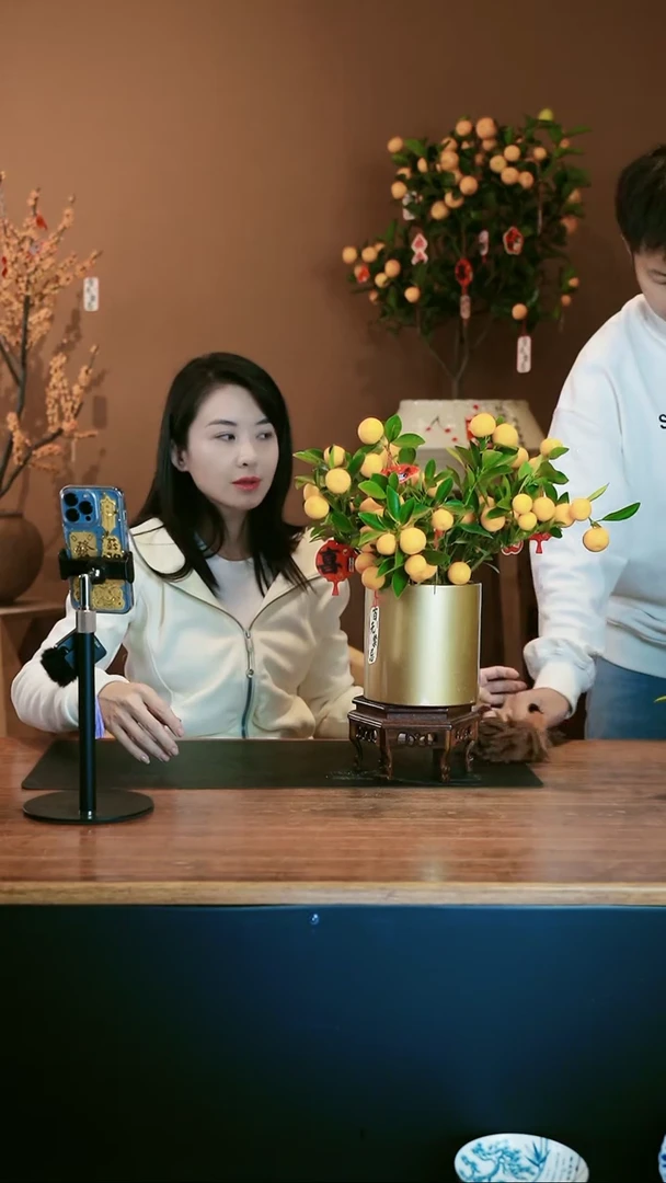 【闪购商品】盆景小金橘 金