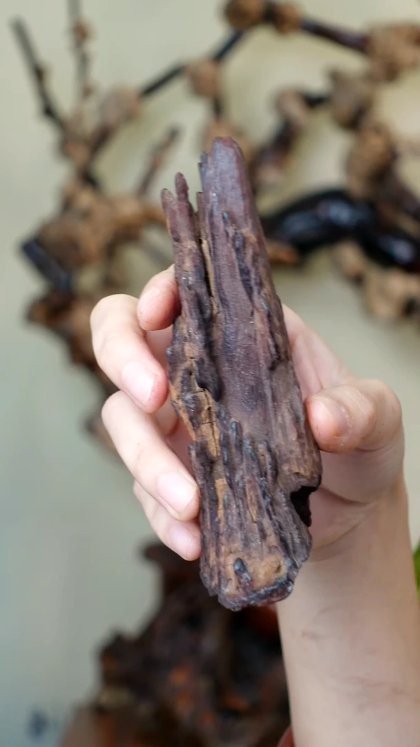 木 本降真香红降花梨公 28g