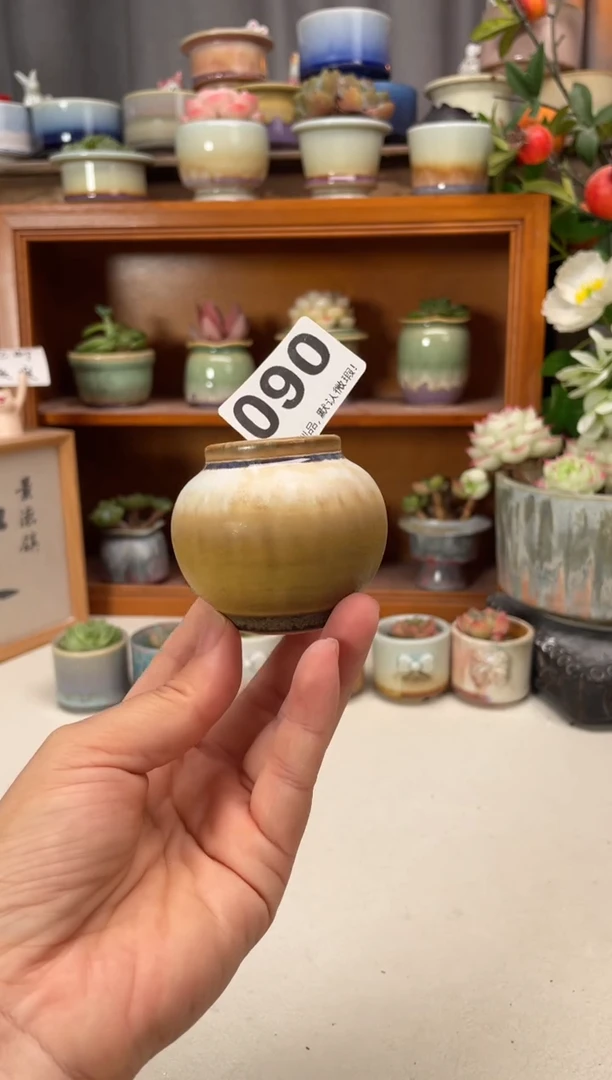 瓷片090知木小芳花盆