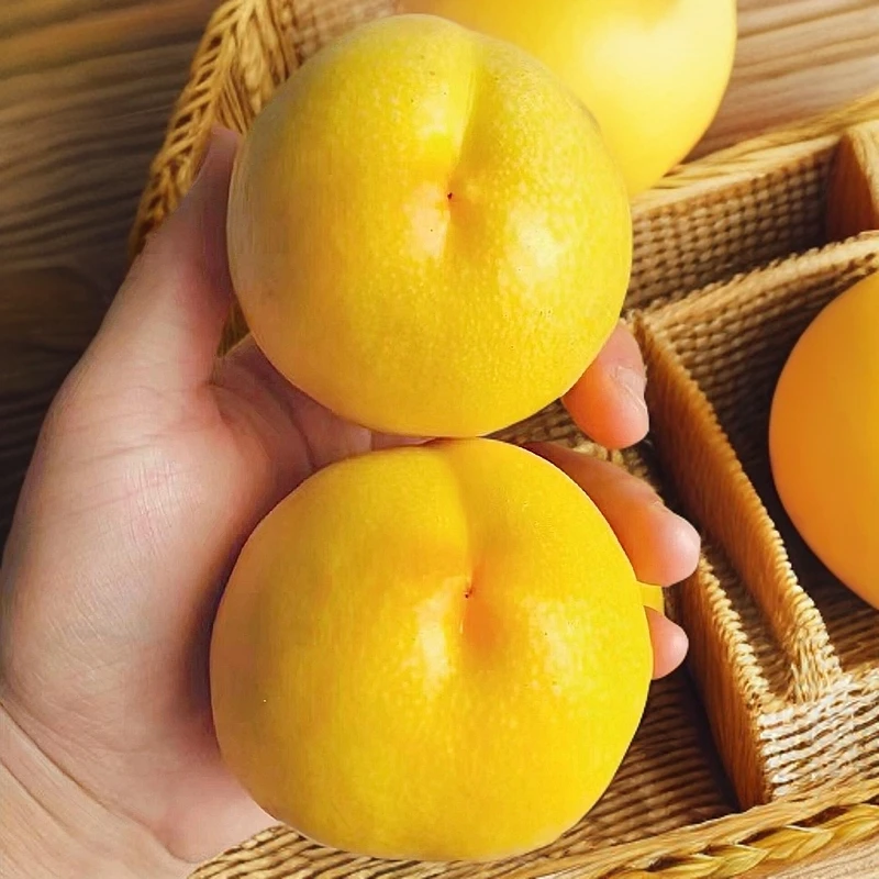 山东蒙阴黄金油桃蒙阴黄桃蜜桃子新鲜现摘应季水果五斤