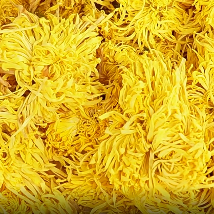 翎芸金丝皇菊正品安徽黄山特产大菊花甄选泡茶煲煮汤健康泡酒罐装