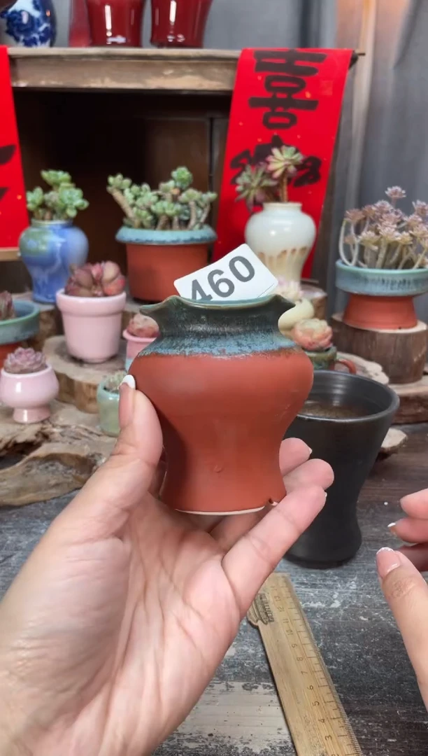 【闪购商品】摆件460知木小芳花盆