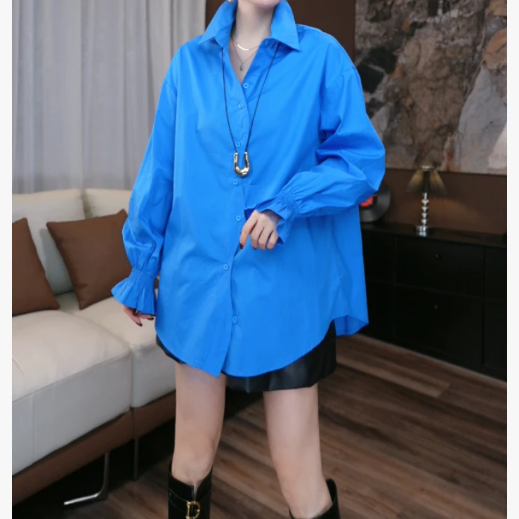 【鑫蕾】秋季新款衬衫宽松气质韩版时尚设计感百搭衬衫29307