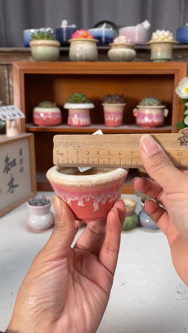 瓷片076知木小芳花盆