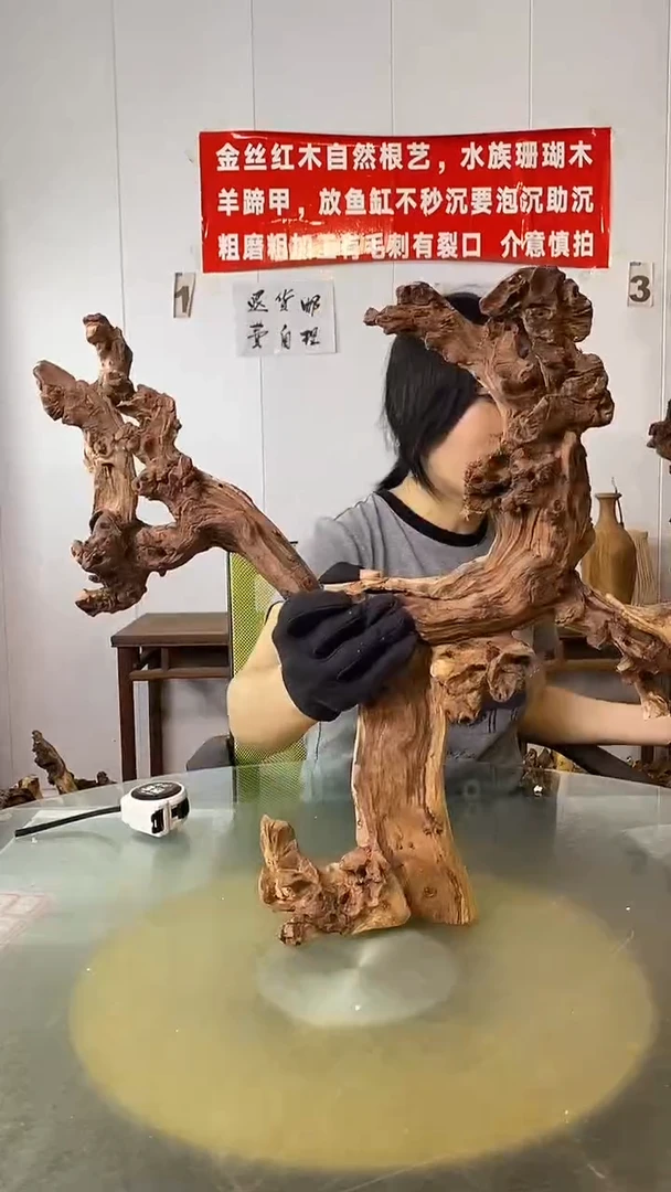 香榧木路***甲金丝红木 羊蹄甲