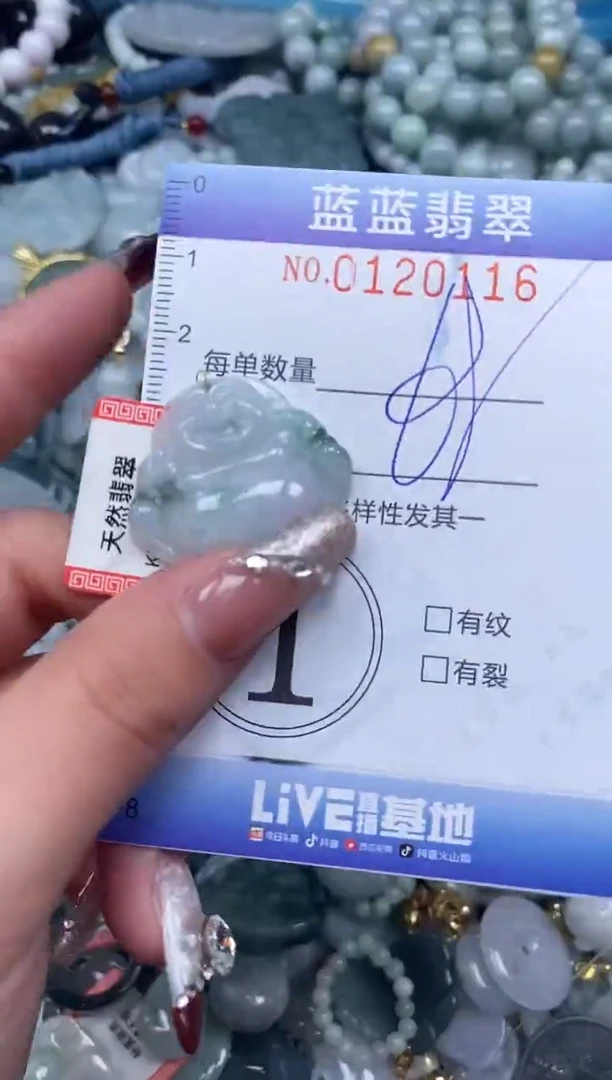 【闪购商品】翡翠颈饰未镶嵌闪购0120116