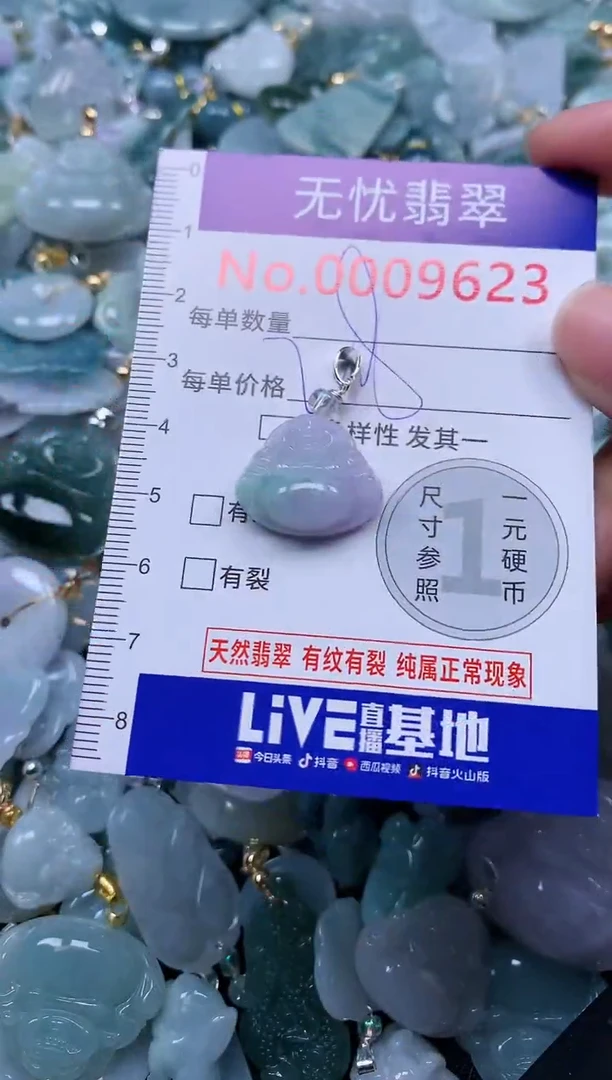 颈饰未镶嵌翡翠9623