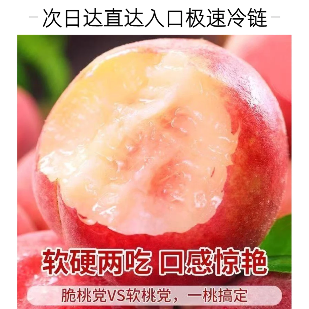 【自家果园现摘顺丰/京东包邮】次日达严选大红春雪蜜桃只选好桃发斤当季新鲜水果桃子桃子同城送山东省