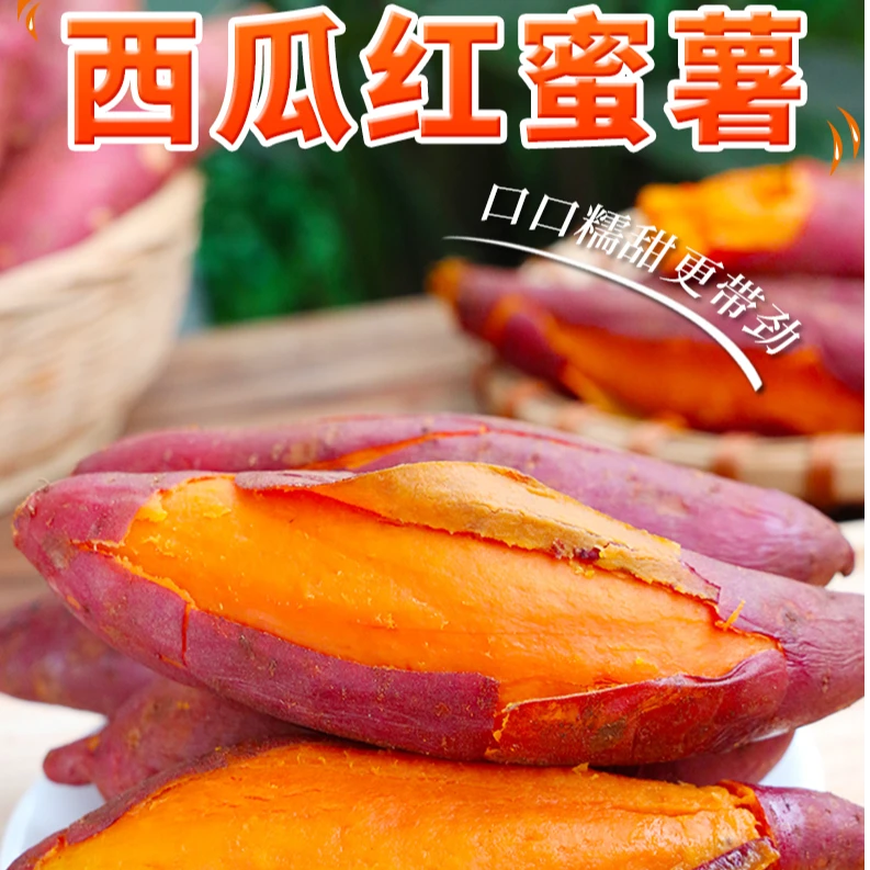 邯郸正宗黄心蜜薯新鲜现挖软糯香甜地瓜番薯西瓜红山药沙地大红薯