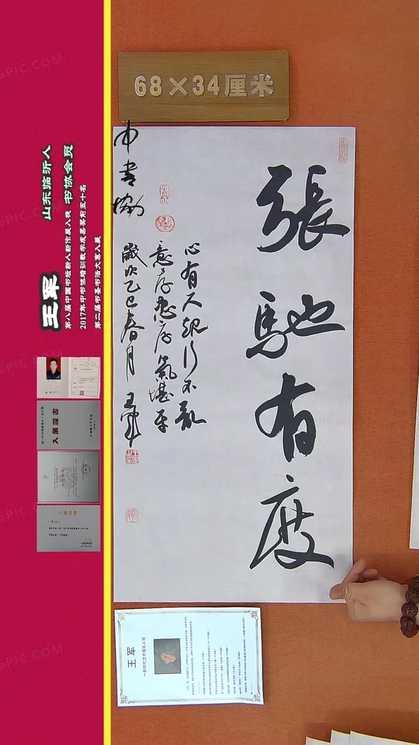 【闪购商品】书法256王军书法作品