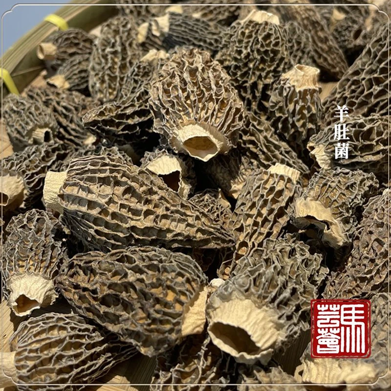 【马芸荟御用】肥厚鲜香 精品羊肚菌