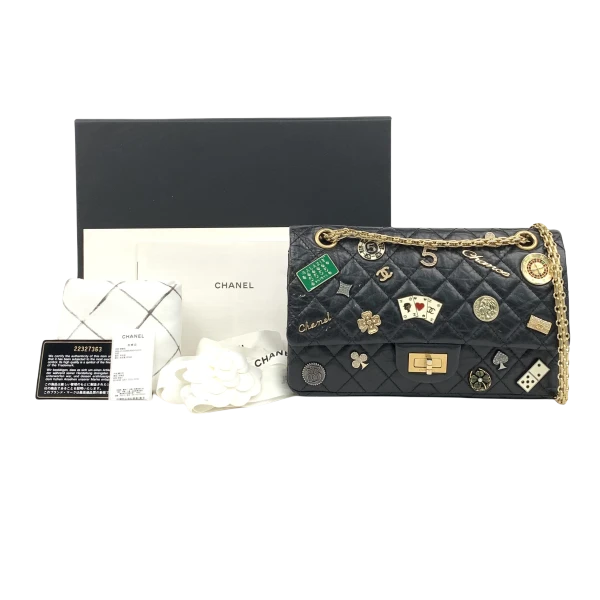 95新/香奈儿/包包/250306SK0009