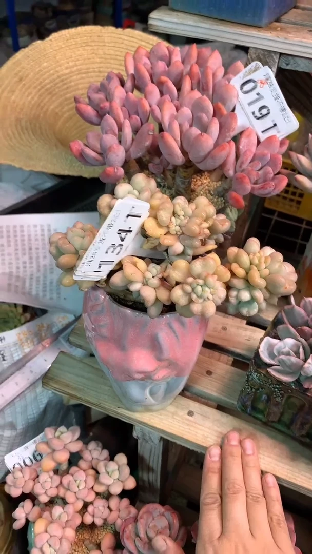 134TTT（满28发货）