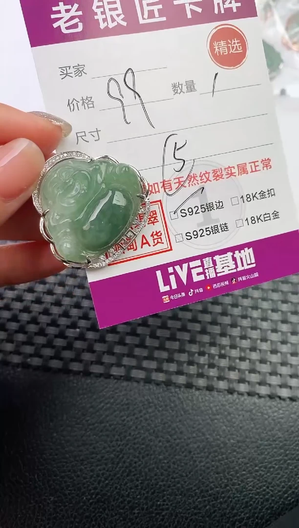 翡翠银S925镶嵌颈饰·