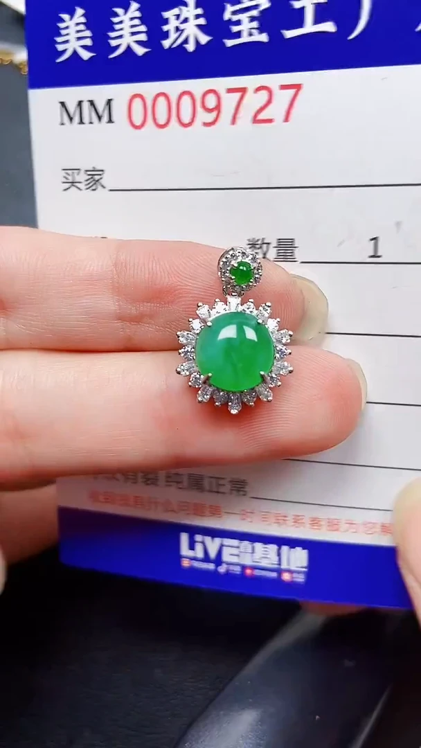 翡翠银S925镶嵌颈饰9727