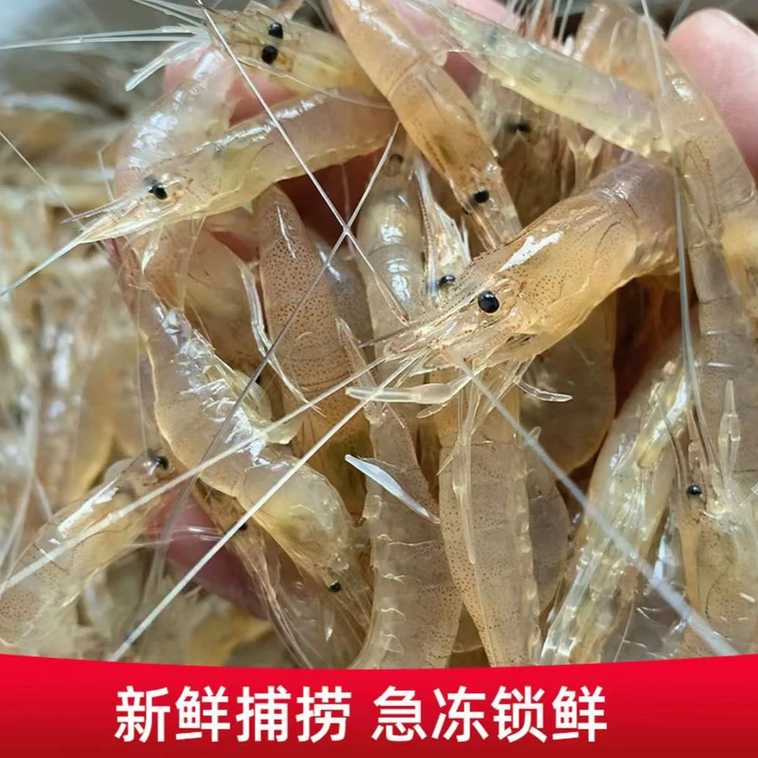 【小鱼儿】新鲜速冻小白虾 200克/包*8包 壳薄肉厚 鲜香美味