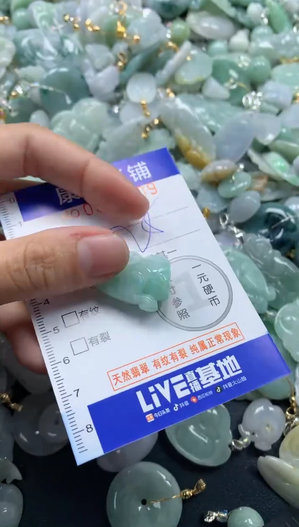 颈饰未镶嵌翡翠9109