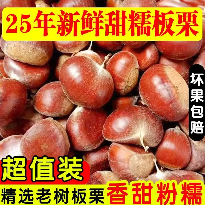 【买3斤送2斤】新鲜现摘高山板栗甘甜清脆生栗子板栗