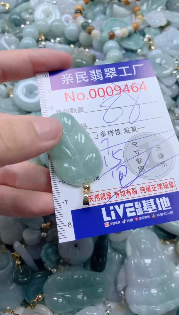 翡翠未镶嵌颈饰9464