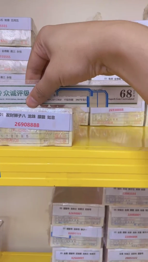MZ 01 发财狮子八 龙珠 朦胧 26908888