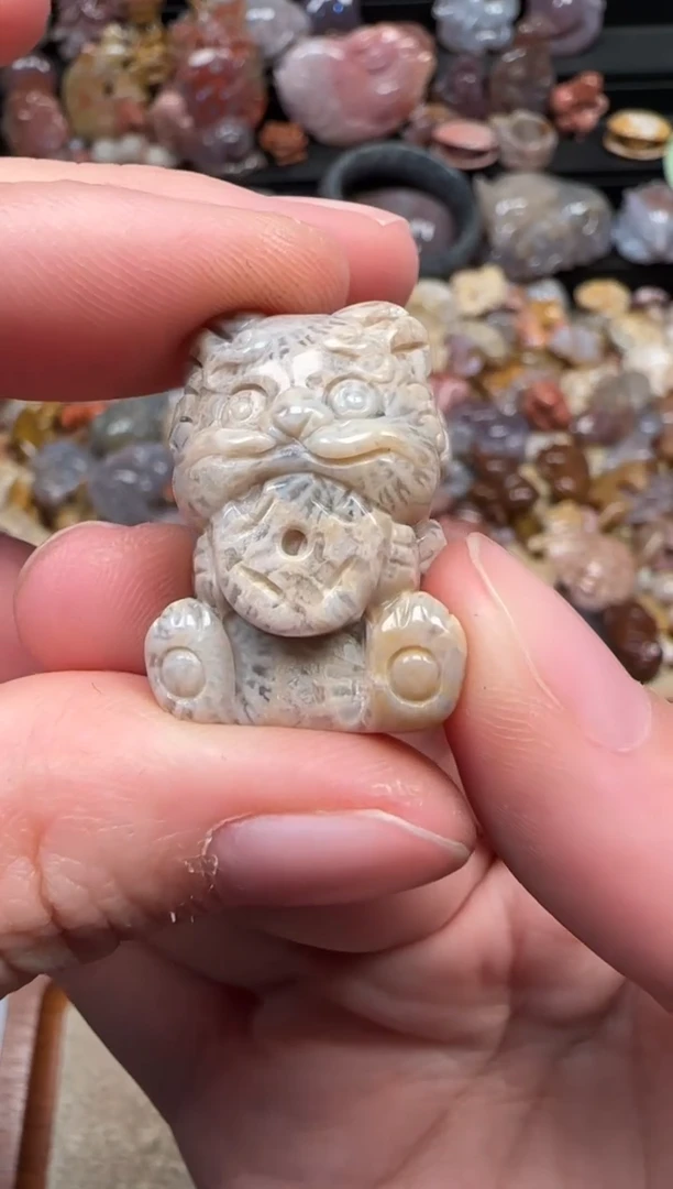 颈饰未镶嵌硅化珊瑚（珊瑚玉）516