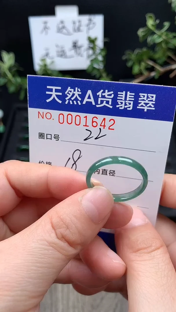 未镶嵌戒指翡翠22#