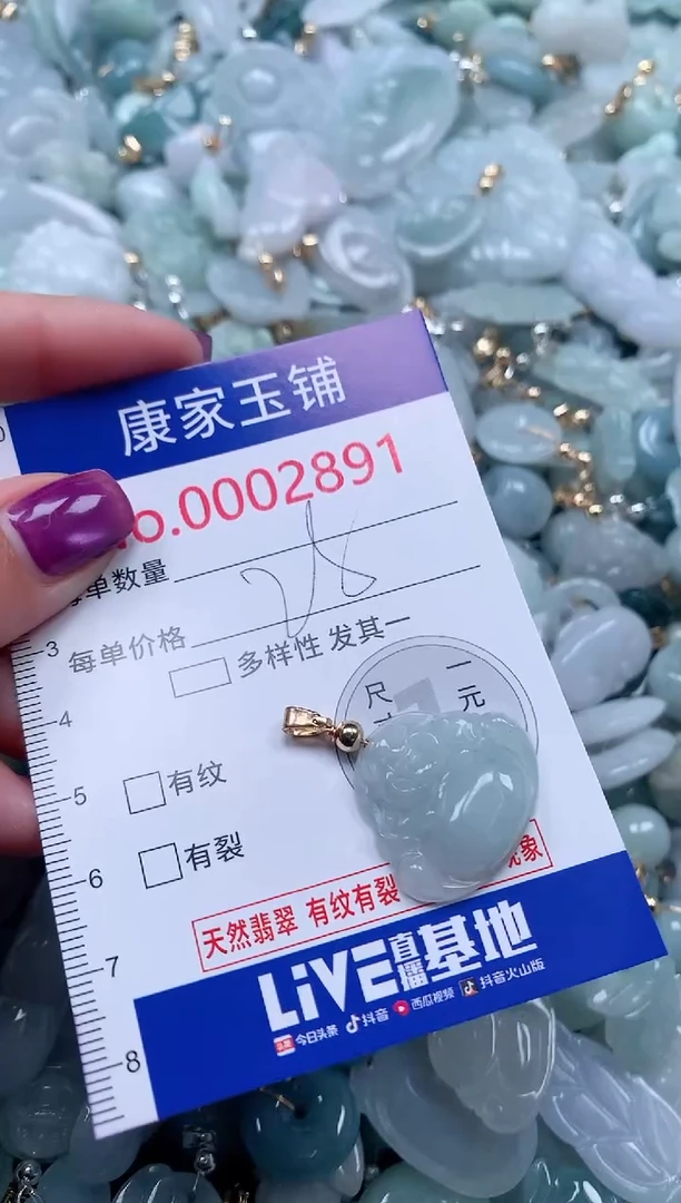颈饰未镶嵌翡翠2891